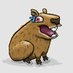 capibara (@capibaraloco) Twitter profile photo capibara (@capibaraloco) Twitter profile photo