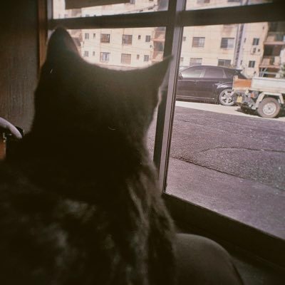 かにさんのプロフィール画像