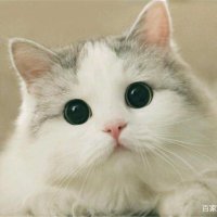 Perfect QiQi (@mikesala08) 's Twitter Profile