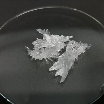 reiyuuru's profile picture. 