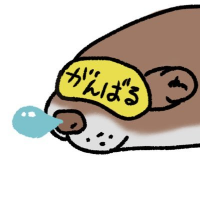 がんばるかわうそ (@kawausoonigiri) 's Twitter Profile Photo がんばるかわうそ (@kawausoonigiri) 's Twitter Profile Photo