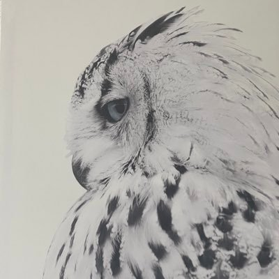 なかやんさんのプロフィール画像