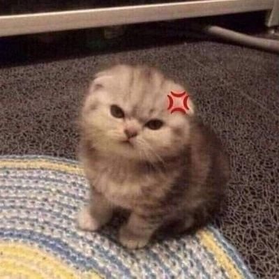 baochou101010's profile picture. 🍉