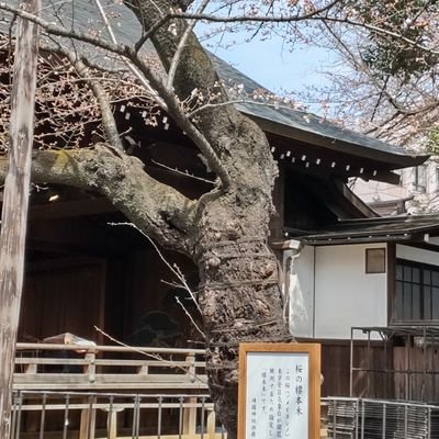 専修法 学部法律学科 
無言フォロー失礼します🙇