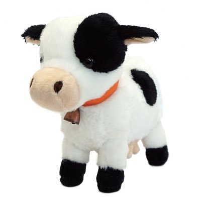 Ushishi6169's profile picture. 