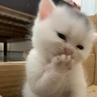 hidup kadang kpop kadang belanja🛍️