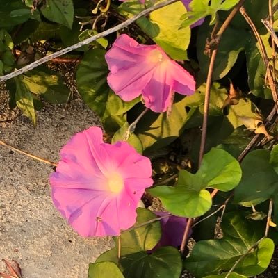 TFSy9p9yDwwsWx5's profile picture. 