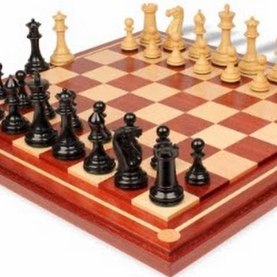 MosekNoam's profile picture. 