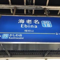 ビナソル (@ebina_oideyo) 's Twitter Profile Photo ビナソル (@ebina_oideyo) 's Twitter Profile Photo