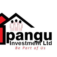 Pangu Investment Ltd(@LtdPangu) 's Twitter Profileg