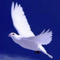 Threeday (@threeday1993) 's Twitter Profile