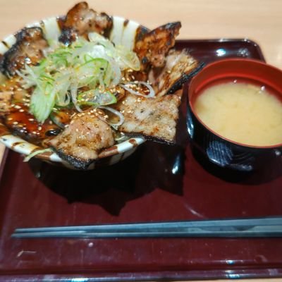 catflow92060744's profile picture. 海でのんびりしたい