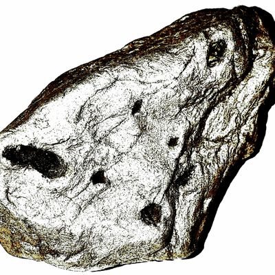 Uzo00569227's profile picture. 非正規労働の明け暮れ悶々。はぁ～ポックンポックン。