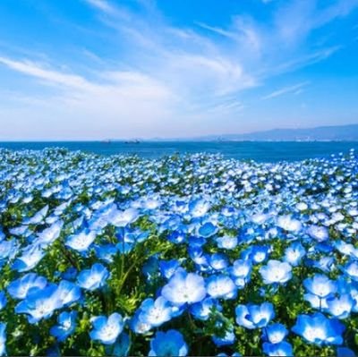 L'Arc-en-Ciel、LUNA SEA、GLAYなどの色々なバンドが好きです!
沢山話して仲良くしてください☺️
※無言フォロー失礼します。
野球も好きです(*^^*)野球も好きな人は@YOKOHAMA_love08をフォローしてください!