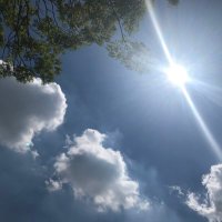 Toby Thorp (@toby_4p) 's Twitter Profile