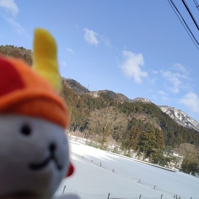 0th_iyami's profile picture. 代振り軍団（休業）