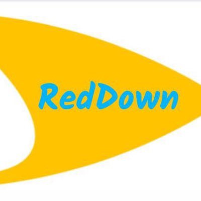 Red Chilena Síndrome de Down tiene su génesis por el deseo manifiesto desde distintas organizaciones a lo largo del país para lograr una cooperación.