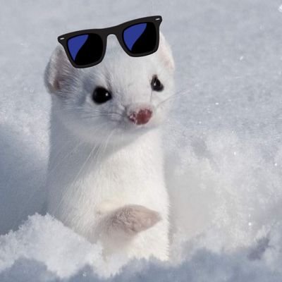 피넛버터さんのプロフィール画像