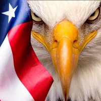 RightMindedPatriots - TRUMP WON(@RMindedPatriots) 's Twitter Profile Photo