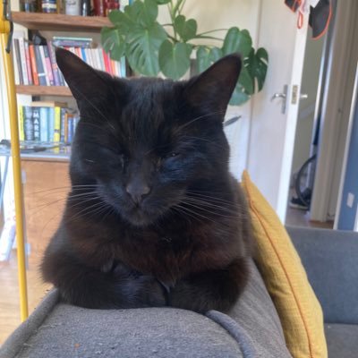 mattralph7's profile picture. 