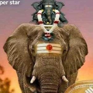 மக்கள் சேவையில் என்றும் 15வது வார்டு மாமன்ற உறுப்பினர் B. சாந்தி பாலசுப்பிரமணியம்.
