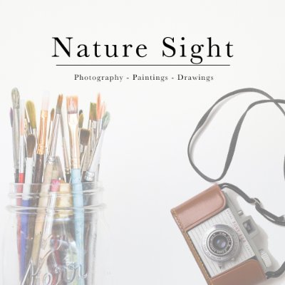 nature_sight Profile Picture