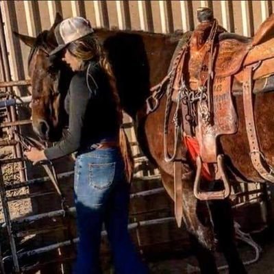 ~cow ponies and heelers~