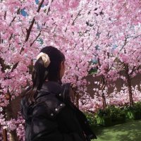 tsubomi@取引垢 (@2bomi_exchange) 's Twitter Profile
