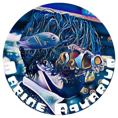 海を創る マリンアクアリウムのガイドライン🔰 | 海を創る外科医