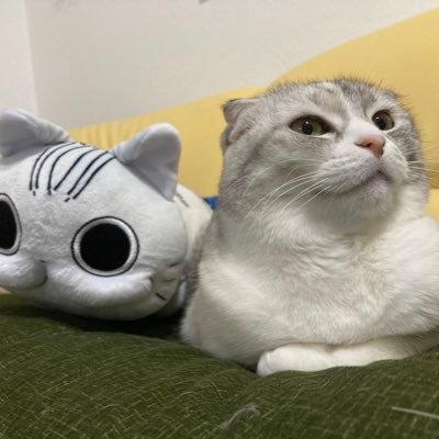 俯瞰してチョークポイントを支援するのが大好物。最適化されていない事をシステムで効率化して構造改革するのが趣味。時々おっちょこちょいで、時々人見知り発動します。怖いもの知らずでグイグイ行ける時もある、2面性のAB型。ゴルフスタート2021年9月。ベスト87。好きなクラブはウェッジ50°