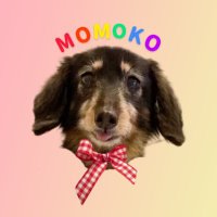 よりももこ(@yorimo1230) 's Twitter Profile Photo