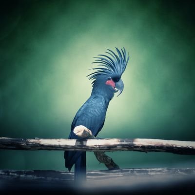 MarxelNev's profile picture. 