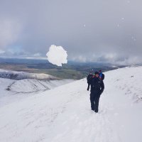 chris (@milnerchris) 's Twitter Profile