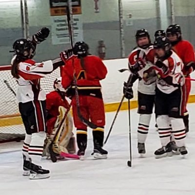 This is the account of the 2022 SSNS Girls High School Hockey Provincials hosted by the Halifax West Warriors - April 1-3, 2022.  Tweets by @lawyercorinne