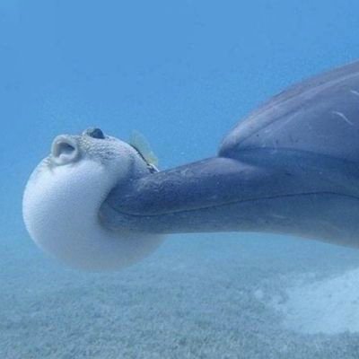 そろそろ限界