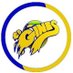 CD Gines Baloncesto (@cdgines) Twitter profile photo CD Gines Baloncesto (@cdgines) Twitter profile photo
