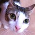 lucimicia (@lucimicia2) Twitter profile photo lucimicia (@lucimicia2) Twitter profile photo