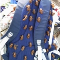 フェルナンド (@kbysystm1) Twitter profile photo