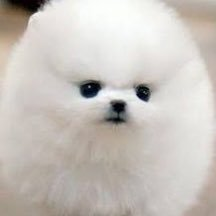 ましろ♨️さんのプロフィール画像