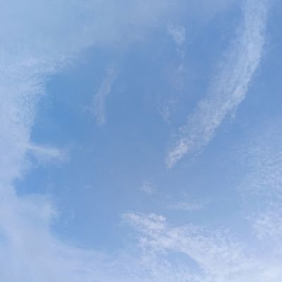 __kspp's profile picture. 