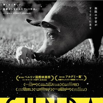 映画好き…いや、ムービードランカー。