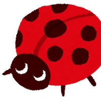 れでぃばーど🥐(@ladybird_tf) 's Twitter Profile Photo
