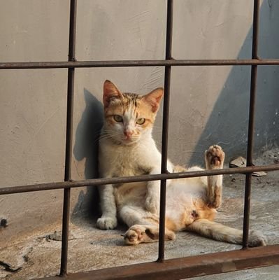 bahagia itu sederhana, yang susah membuat bahagia dalam kesederhanaan