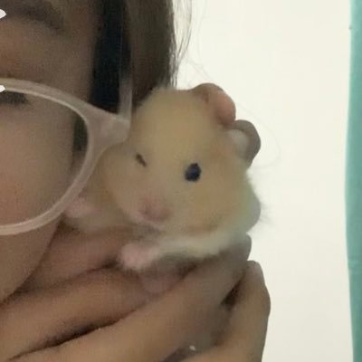 eyn_____'s profile picture. 