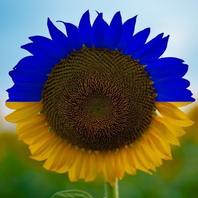 joshmbyerly's profile picture. Movies, video games, and taking photos at renaissance fairs