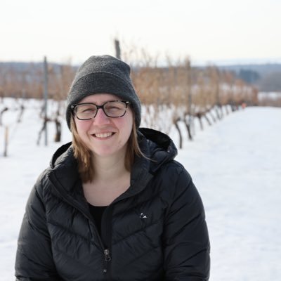 h_hbert's profile picture. Viticulture research scientist at CRAM-Mirabel.