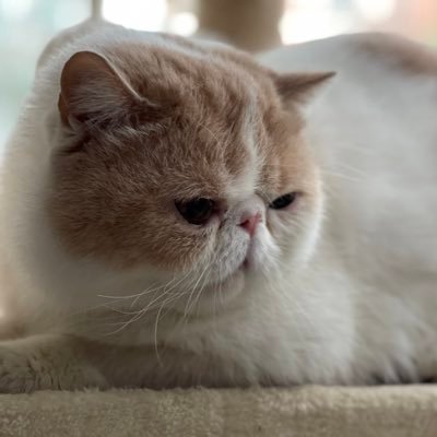 studyforever Profile