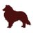 Aggies Wire