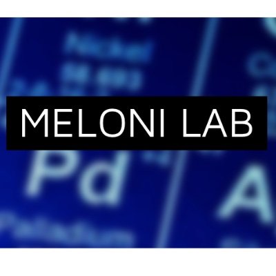 MeloniLab Profile Picture