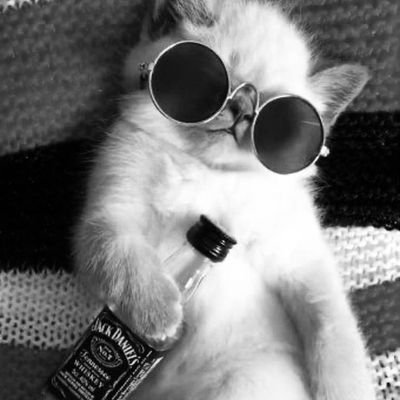 loveyoujihan08's profile picture. INSYA ALLAH SEGERA WIN AMIN🤲😇
MANIFESTING WIN🍀🍀🍀🍀🍀
$UPI $1000🤲🤲🤲 # gemshostofficial # JIHANTESTI
 #MAMA😇